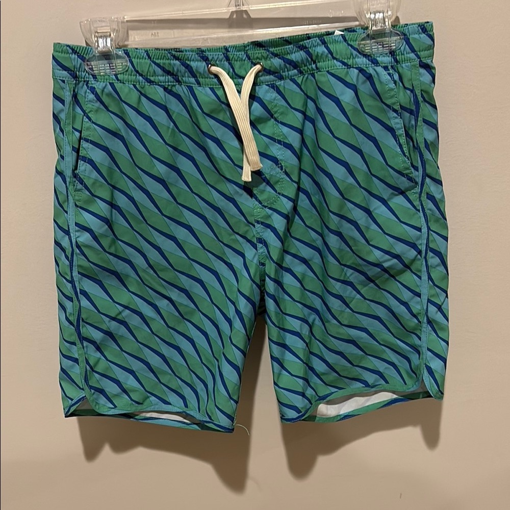 Fair Harbor Green and Blue Swim Trunks with Dynamic Stripes